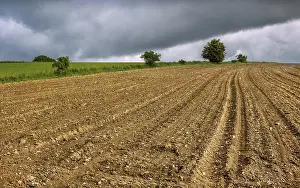 No People In The Field Drucke: Field tracks