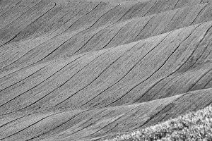 Tuscany Landscape Drucke: Field in Tuscany