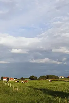 Deserted Farm Drucke: Field in Vigra