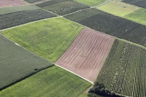 European Countryside Landscape Drucke: Fields from a bird's eye view
Fields from a bird's eye view