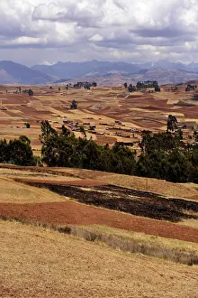Cusco Drucke: Felder, Chinchero, Provinz Cusco, Peru
