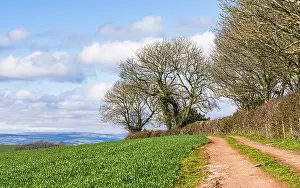 British Countryside Images Drucke: Fields and Farmlands over Devon
