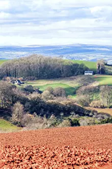Devon Landscape Photography Drucke: Fields and Farmlands over Devon
