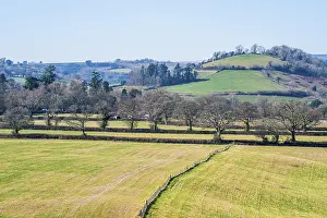 British Countryside Drucke: Fields and Farmlands over Devon