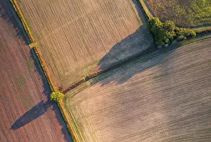 British Countryside Drone Shot Drucke: Top Down over Fields and Farmlands from a drone