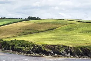 Plymouth Drucke: Felder und Farmen Felsen über Felsen
