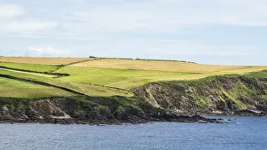 Mothecombe Beach Drucke: Fields and Farms Cliffs over cliffs