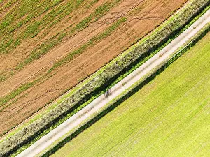 British Countryside View Drucke: Top Down over Fields and Farms from a drone