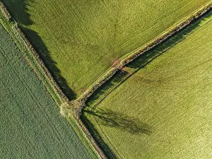High Angle Farm Field View Drucke: Top Down over Fields and Farms from a drone