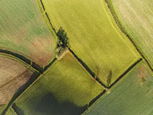 Agricultural Landscape From Above Drucke: Top Down over Fields and Farms from a drone
