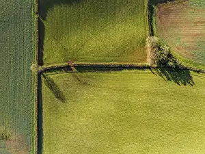 Devon England Landscape Drucke: Top Down over Fields and Farms from a drone
