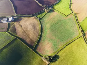 Drone Photography UK Countryside Drucke: Top Down over Fields and Farms from a drone