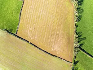 Aerial View Of Devon Drucke: Top Down over Fields and Farms from a drone