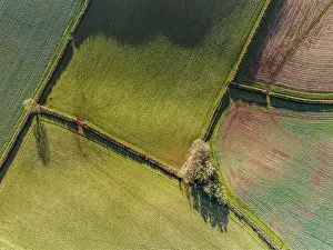 Agricultural Landscapes UK Drucke: Top Down over Fields and Farms from a drone