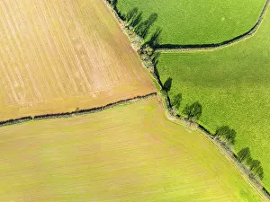 Aerial Photography UK Drucke: Top Down over Fields and Farms from a drone