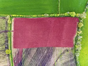 Aerial Views Of Devon Drucke: Top Down over Fields and farms from a drone