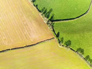 Farmland From Above Drucke: Top Down over Fields and Farms from a drone