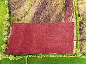 British Countryside Drone Shot Drucke: Top Down over Fields and farms from a drone