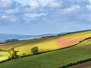 Drone Photography Devon Drucke: Fields and Farms from a drone, Devon