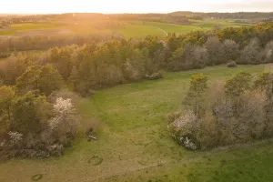 Evening Sun In The Black Forest Drucke: Fields and forests in soft sunset light