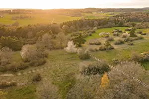 Calw District Landscape Photo Drucke: Fields and forests stretch out in a warm evening light