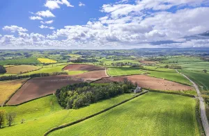 Devon Countryside Scenery Drucke: Fields and Meadows over Berry Pomeroy