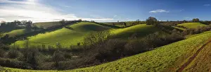 British Countryside Drucke: Fields and Meadows of Conqueror Wood