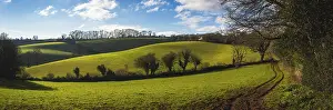 British Countryside Drucke: Fields and Meadows of Conqueror Wood