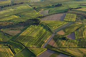 Atmospheric Evening Shots Drucke: Fields and meadows in evening light