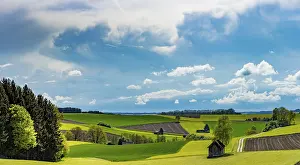 Bavaria Countryside Drucke: Fields and meadows with field path and small hut