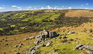 British Countryside Drucke: Fields and meadows in Haytor Rocks
