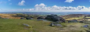 Nature Conservation Area Uk Drucke: Fields and meadows in Haytor Rocks