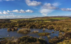 Devon Countryside Scenery Drucke: Fields and meadows in Haytor Rocks