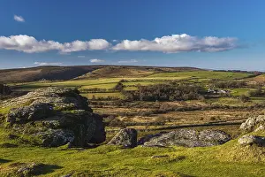 Nature Reserves In Britain Drucke: Fields and meadows in Haytor Rocks