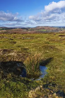 Haytor Rocks Drucke: Fields and meadows in Haytor Rocks