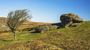 Agricultural Landscapes UK Drucke: Fields and meadows in Haytor Rocks