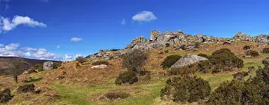 British Nature Reserve Drucke: Fields and meadows in Haytor Rocks