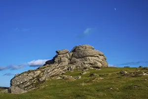 British Countryside Drucke: Fields and meadows in Haytor Rocks