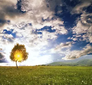 Mountain Meadow Scenery Drucke: Fields and meadows in mountains and sky