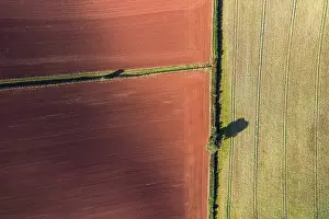 Uninhabited Agricultural Land Drucke: Fields and Meadows over Torbay
