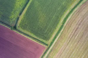Unmanned Aerial Vehicle UVA Drucke: Fields and Meadows over Torbay from a drone