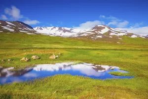 Icelandic Summer Landscapes Drucke: The fields overgrown with fresh green grass