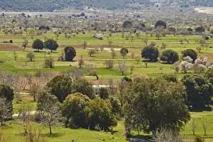 Southeast Europe Landscapes Drucke: Fields, trees, green meadows, spring