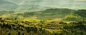 Central Italy Landscape Photo Drucke: Fields in Tuscany