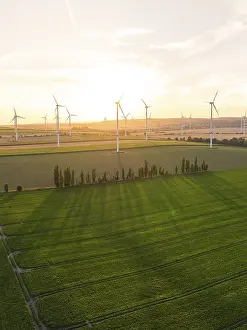 Alternative Energy Germany Drucke: Fields with wind turbines in the soft evening sun