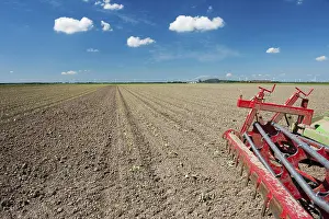 Dutch Windmill Landscape Drucke: Fields with young vegetable fields and detail of planting machine