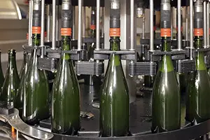 Empty Champagne Bottles Drucke: Filling machine