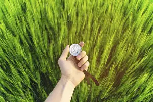 Wheat Field Landscape Drucke: Finding a direction in nature on a wheat field