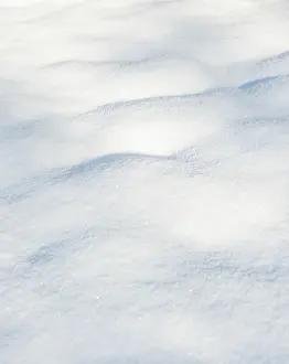 Snowy Winter Day Scene Drucke: Fine structure of freshly fallen snow