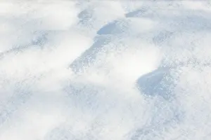 Winter Day In Germany Drucke: Fine structure of freshly fallen snow